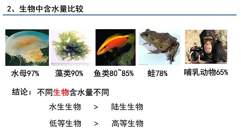 2.2细胞中的无机物课件(28张PPT)第6页