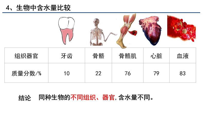 2.2细胞中的无机物课件(28张PPT)第8页