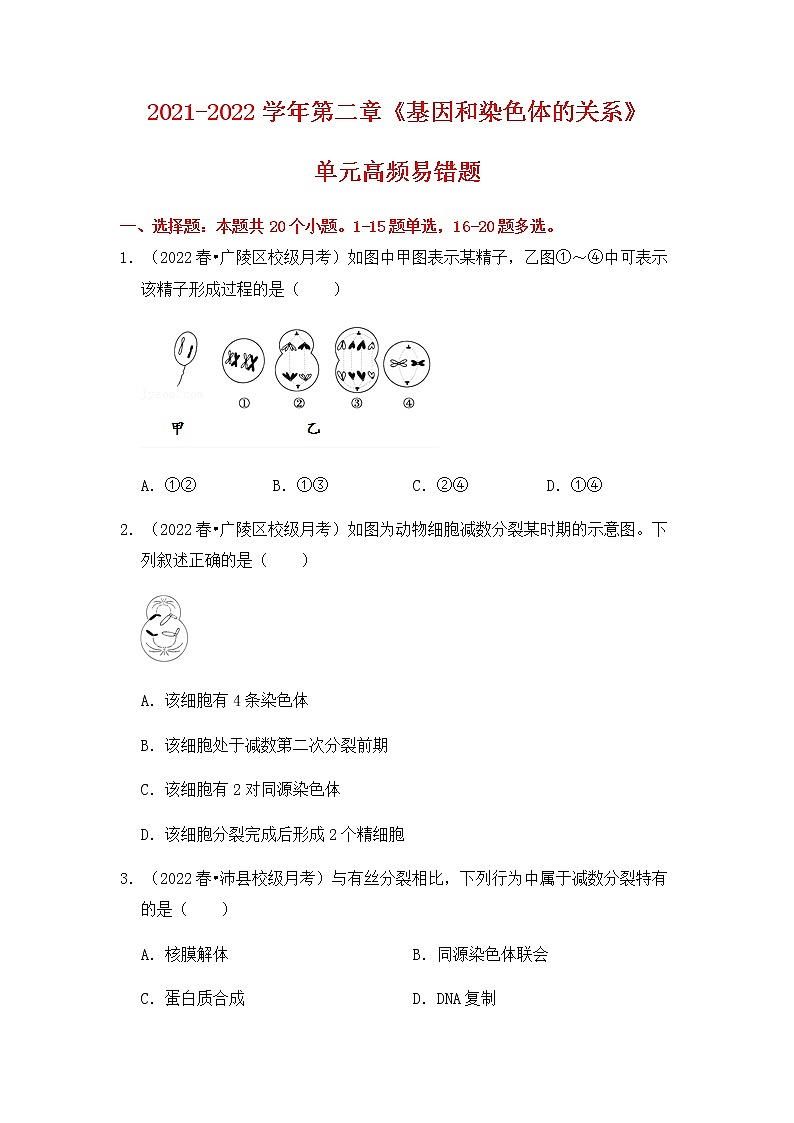【高频单元易错题】人教版(2019)2021-2022学年高一下生物必修2第二章:基因和染色体的关系(含答案解析)第1页