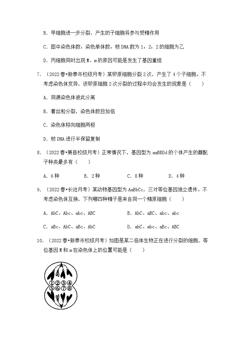 【高频单元易错题】人教版(2019)2021-2022学年高一下生物必修2第二章:基因和染色体的关系(含答案解析)第3页