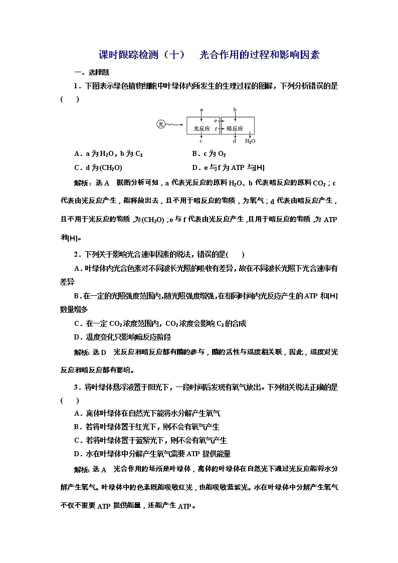 高考生物一轮课时跟踪检测10《光合作用的过程和影响因素》(含详解)第1页