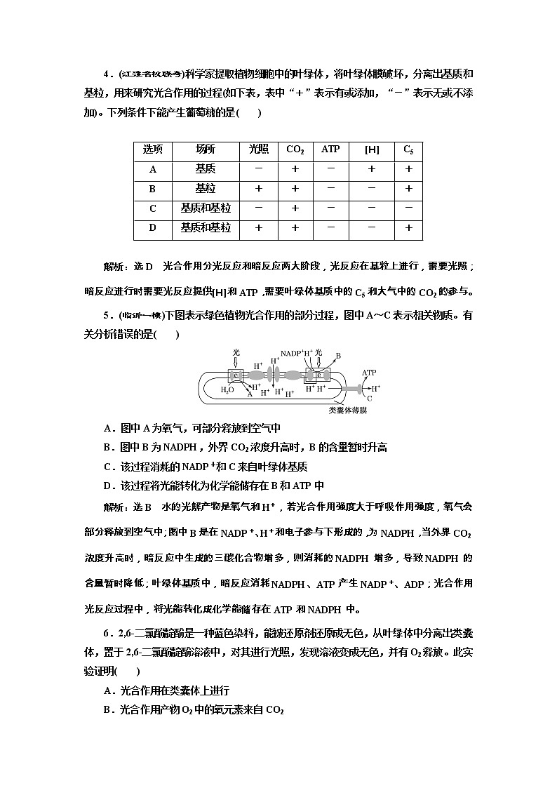 高考生物一轮课时跟踪检测10《光合作用的过程和影响因素》(含详解)第2页