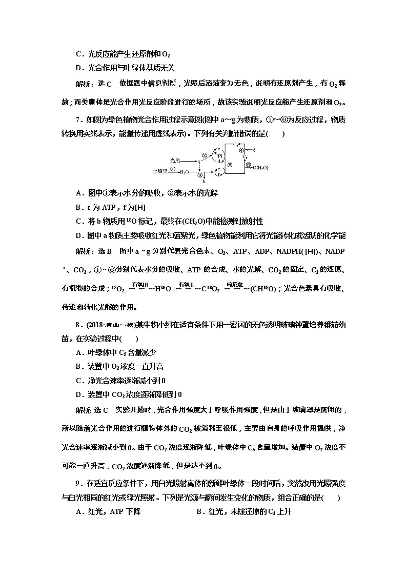高考生物一轮课时跟踪检测10《光合作用的过程和影响因素》(含详解)第3页