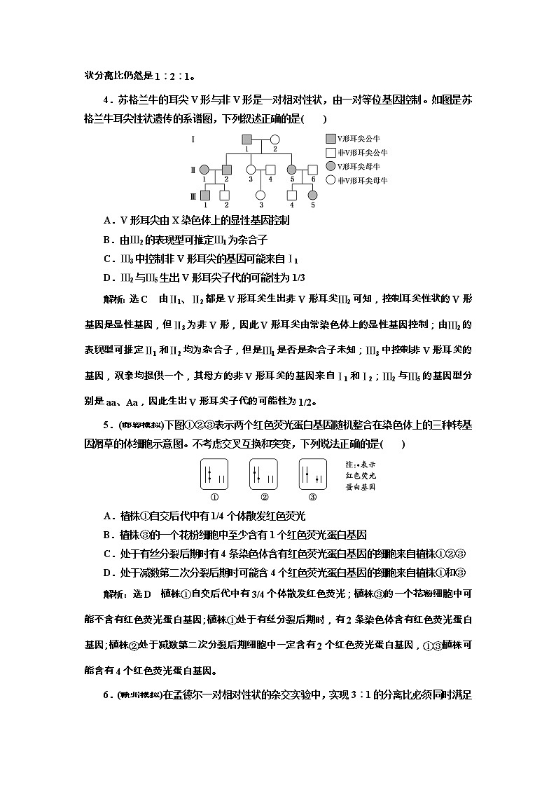 高考生物一轮课时跟踪检测15《孟德尔的豌豆杂交实验(一)》(含详解)02