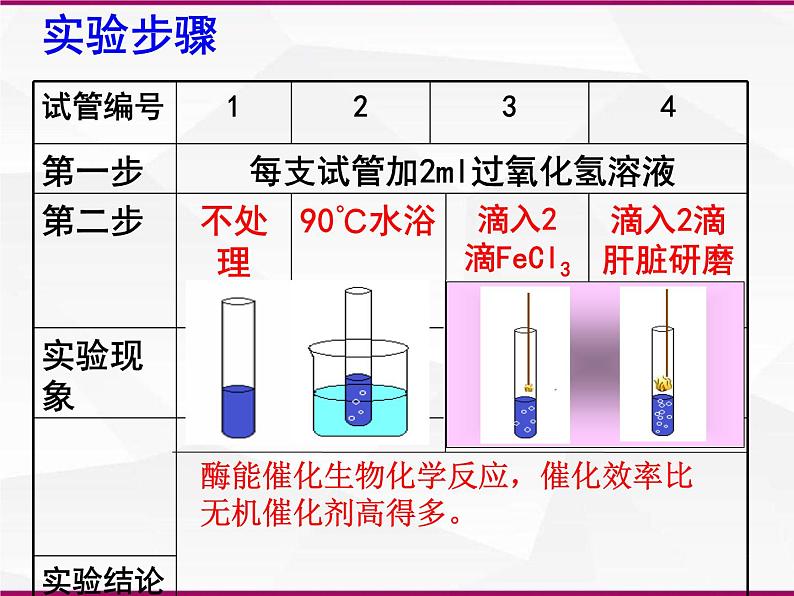 必修1 第5章 第1节降低化学反应活化能的酶课件PPT第7页