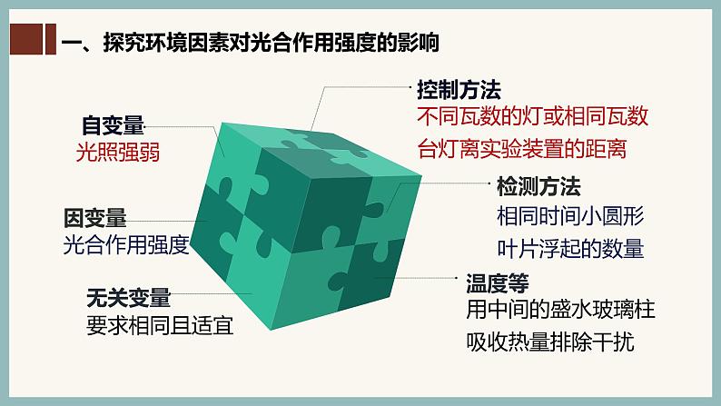 5.4.3光合作用原理的应用课件(29张PPT)第3页