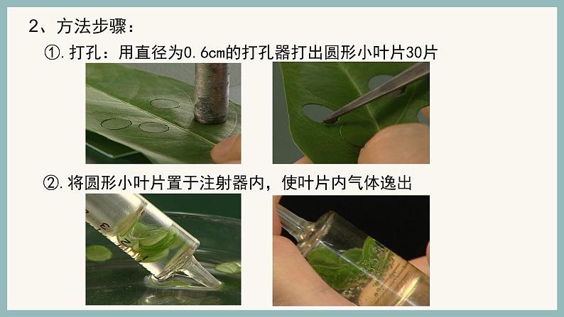 5.4.3光合作用原理的应用课件(29张PPT)第5页