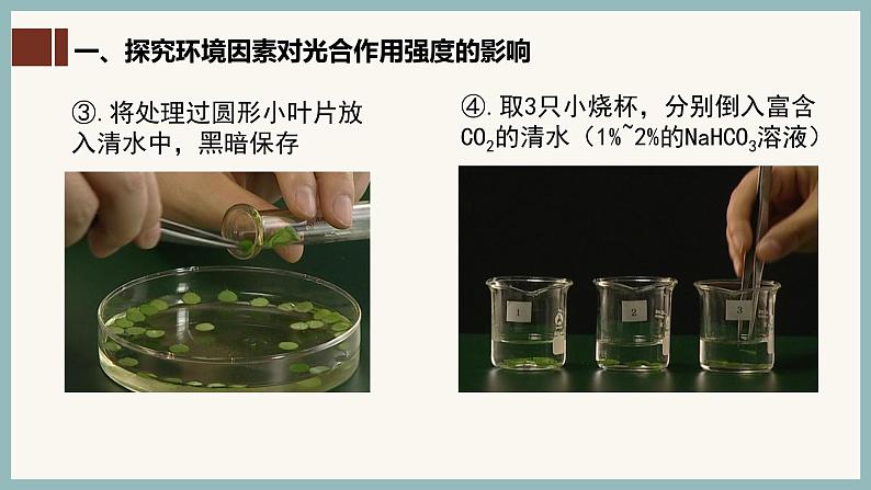 5.4.3光合作用原理的应用课件(29张PPT)第6页