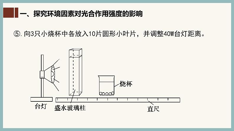 5.4.3光合作用原理的应用课件(29张PPT)第7页
