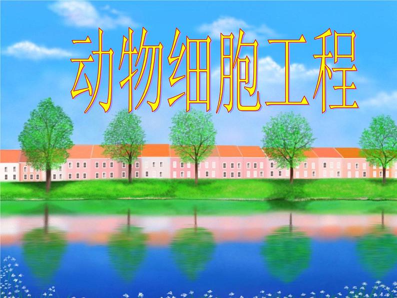 选修3 2.2《动物细胞工程》(44张PPT)第1页