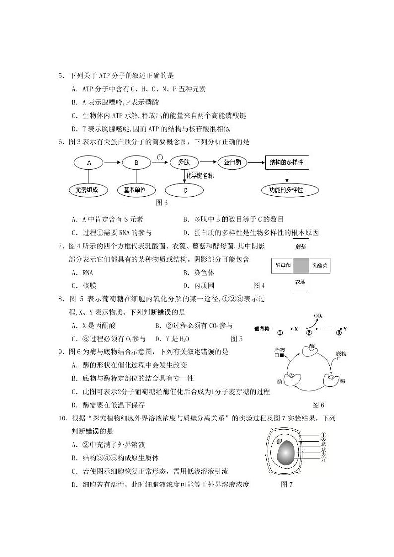 2020上海松江区一模生物试卷和参考答案02