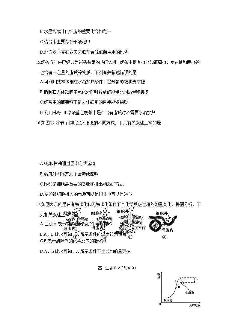 2021-2022学年浙江省宁波市效实中学高一上学期期中生物试题含答案第3页