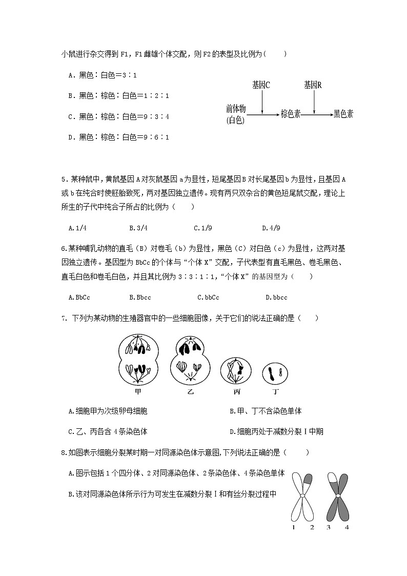 2021-2022学年江西省抚州市临川第二中学高一下学期第一次月考生物试题含答案第2页