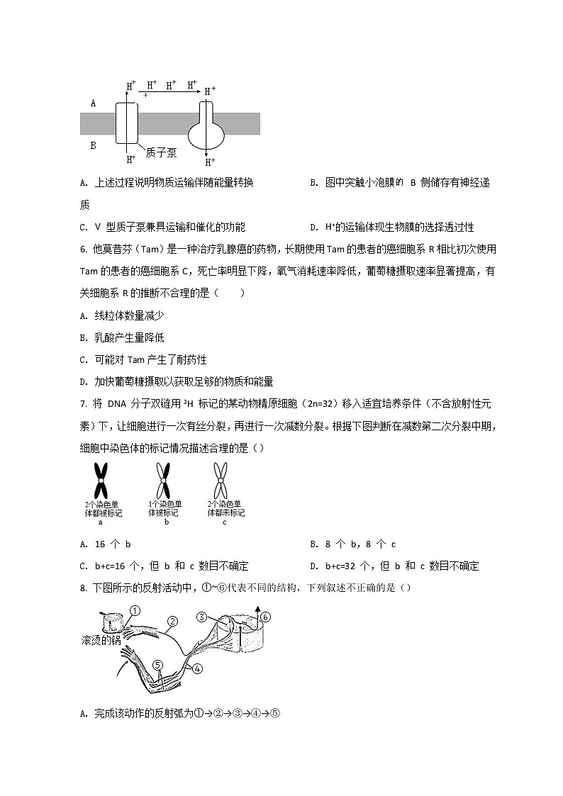 2022漳州七校(厦大附中、龙海一中、南靖一中、平和一中、诏安一中、长泰一中、龙海二中)高三下学期4月诊断性联考生物试题含答案02
