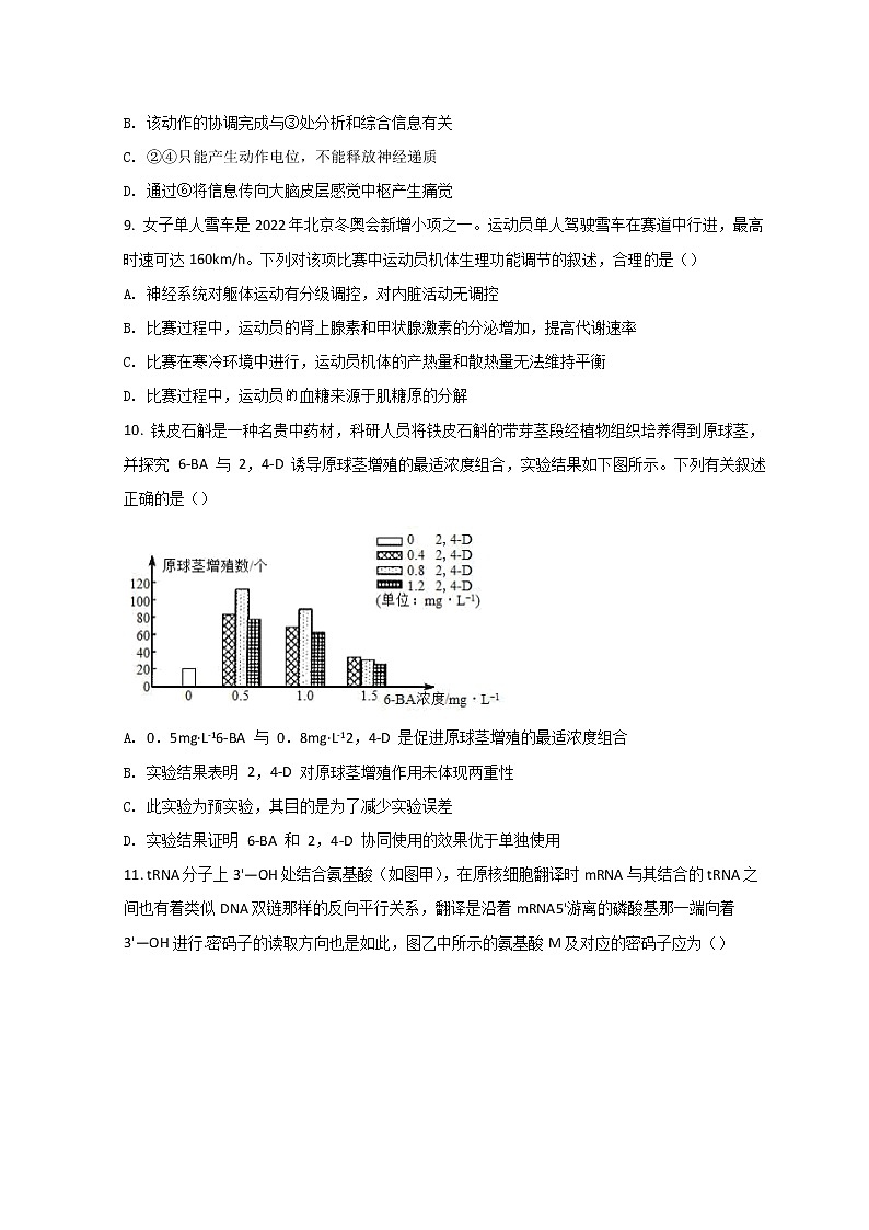 2022漳州七校(厦大附中、龙海一中、南靖一中、平和一中、诏安一中、长泰一中、龙海二中)高三下学期4月诊断性联考生物试题含答案03