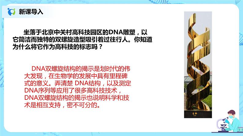 3.2《DNA的结构》课件PPT+教案02