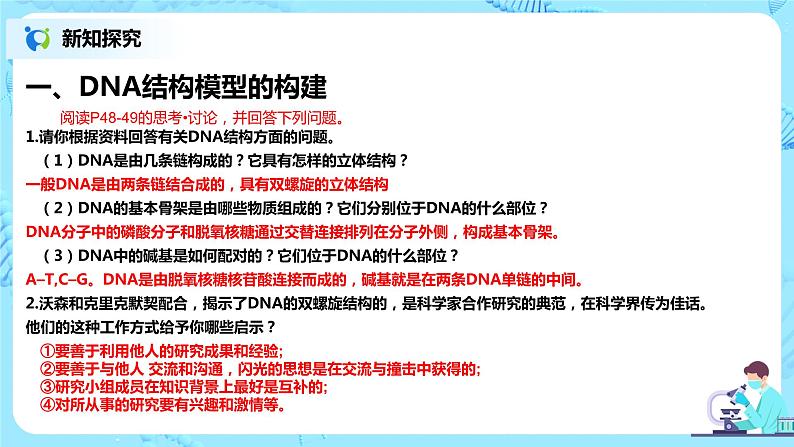 3.2《DNA的结构》课件PPT+教案04