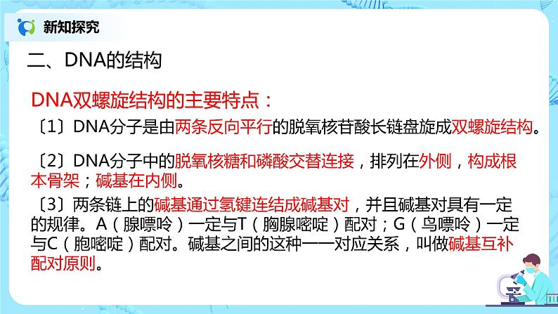3.2《DNA的结构》课件PPT+教案06