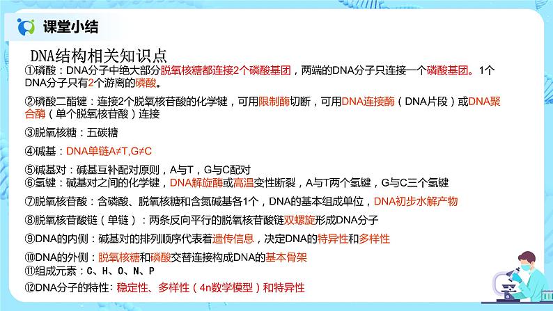 3.2《DNA的结构》课件PPT+教案08