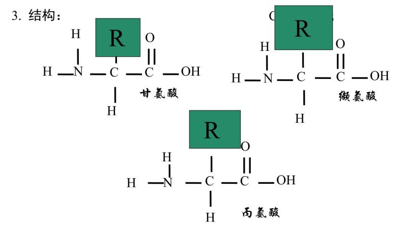 《第4节 蛋白质是生命活动的主要承担者》课件307