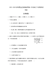 2021-2022学年黑龙江省鹤岗市第一中学高二下学期开学考试生物试题含答案