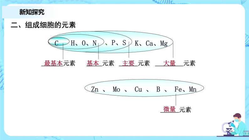 2.1《细胞中的元素和化合物》第1课时课件+教案+练习04