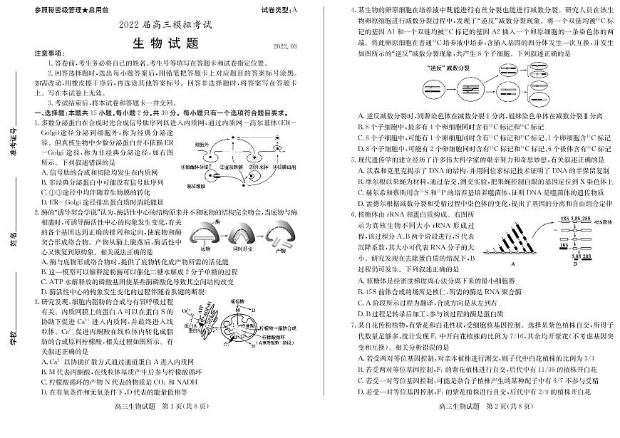 高三生物第1頁