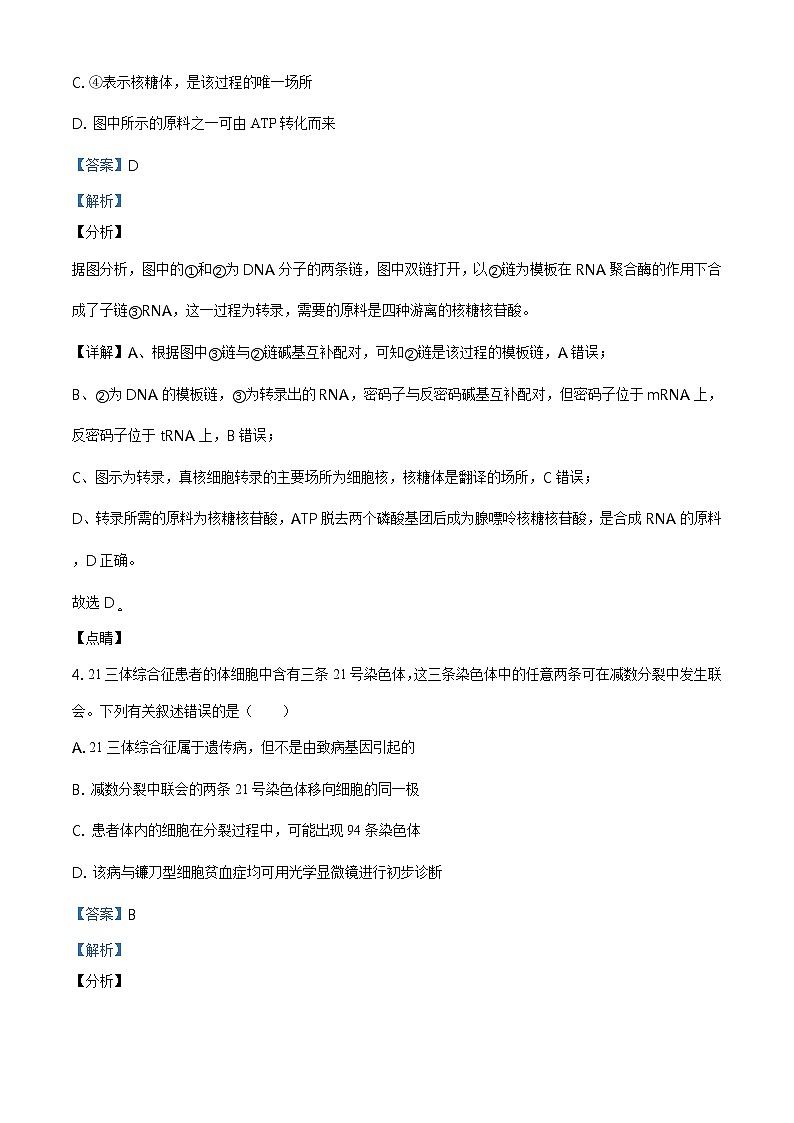 2021届新疆乌鲁木齐地区高三第三次质量检测理综生物试题(答案)第3页