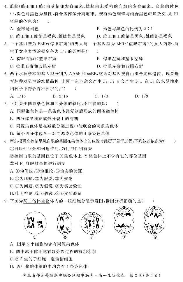 高一期中-生物第2页