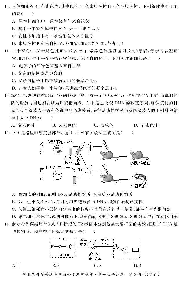 高一期中-生物第3页