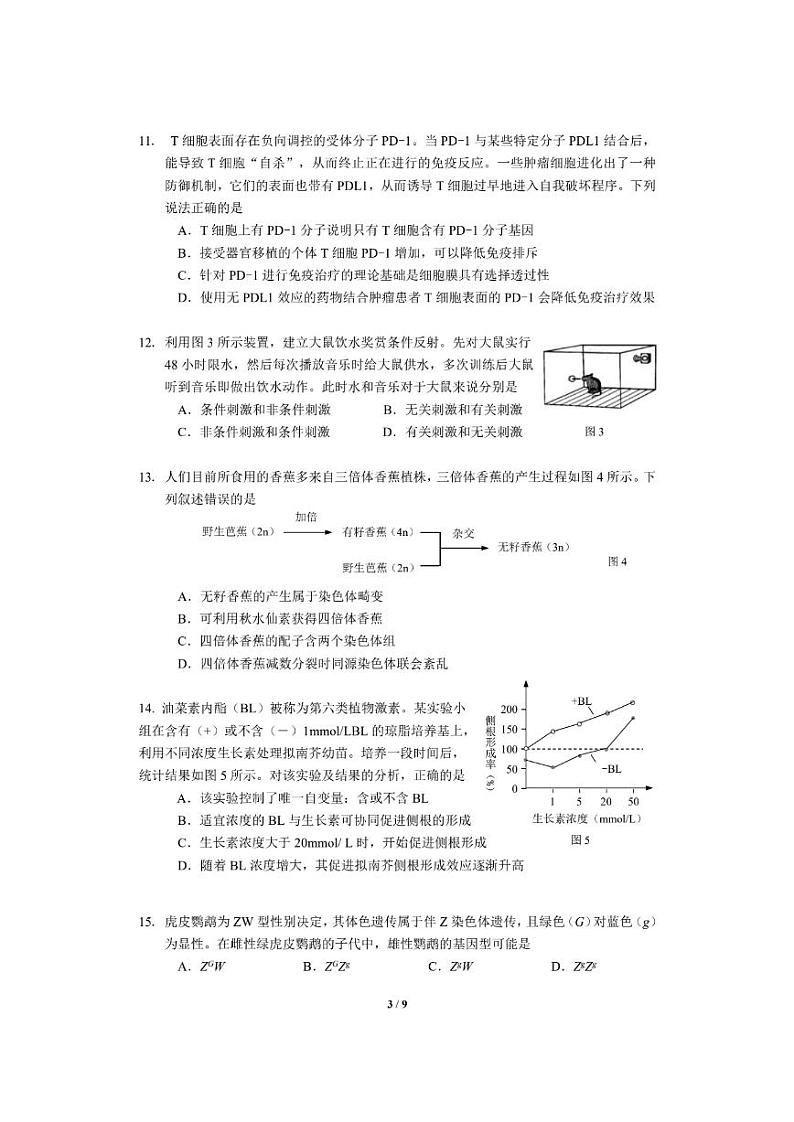 2022届上海市杨浦区高二(高三)下学期二模生物试题 PDF03