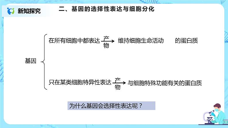 4.2《基因表达与性状的关系》课件(送教案+练习)08