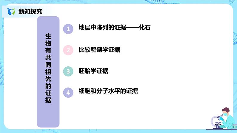 6.1《生物有共同祖先的证据》课件第4页