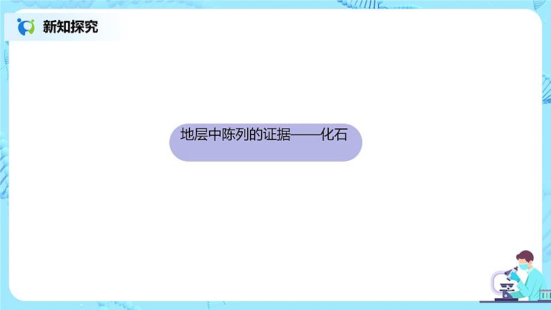 6.1《生物有共同祖先的证据》课件第5页