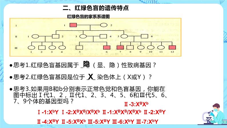 2.3《伴性遗传》课件(送教案+练习)06
