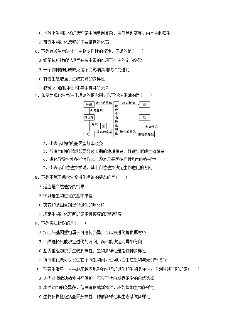 6.4 《协同进化与生物多样性的形成》课件(送教案+练习)02