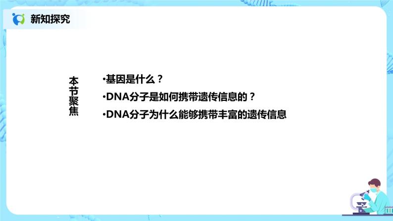 3.4《基因通常是有遗传效应的DNA片段》课件（送教案+练习）02