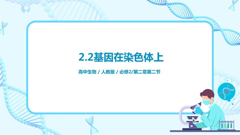 2.2《基因位于染色体上》课件（送教案+练习）01