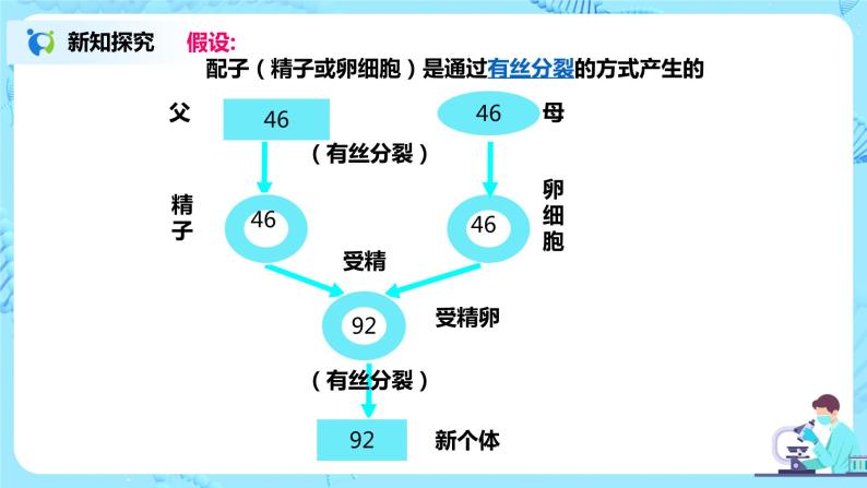 2.1《减数分裂和受精作用》课件（送教案+练习）03