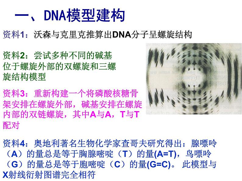 人教新课标高中生物必修二 3.2DNA分子的结构 课件06