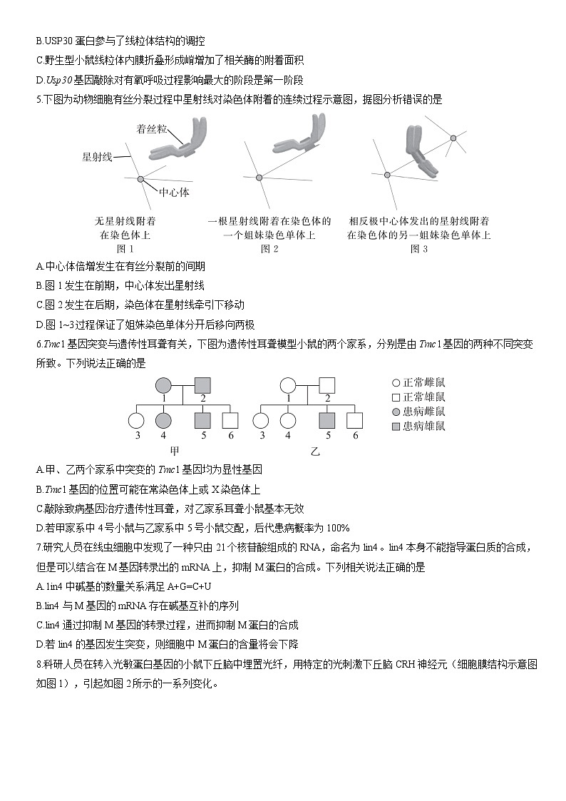 2022届北京市东城区高三一模生物试题(含答案)02