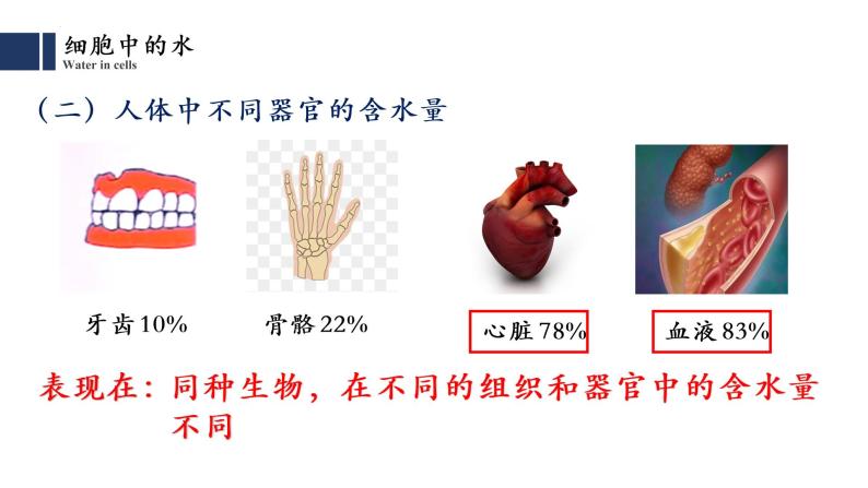 2.2细胞中的无机物课件2021-2022学年高一上学期生物人教版必修106