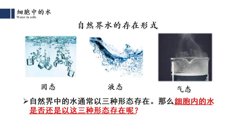 2.2细胞中的无机物课件2021-2022学年高一上学期生物人教版必修107