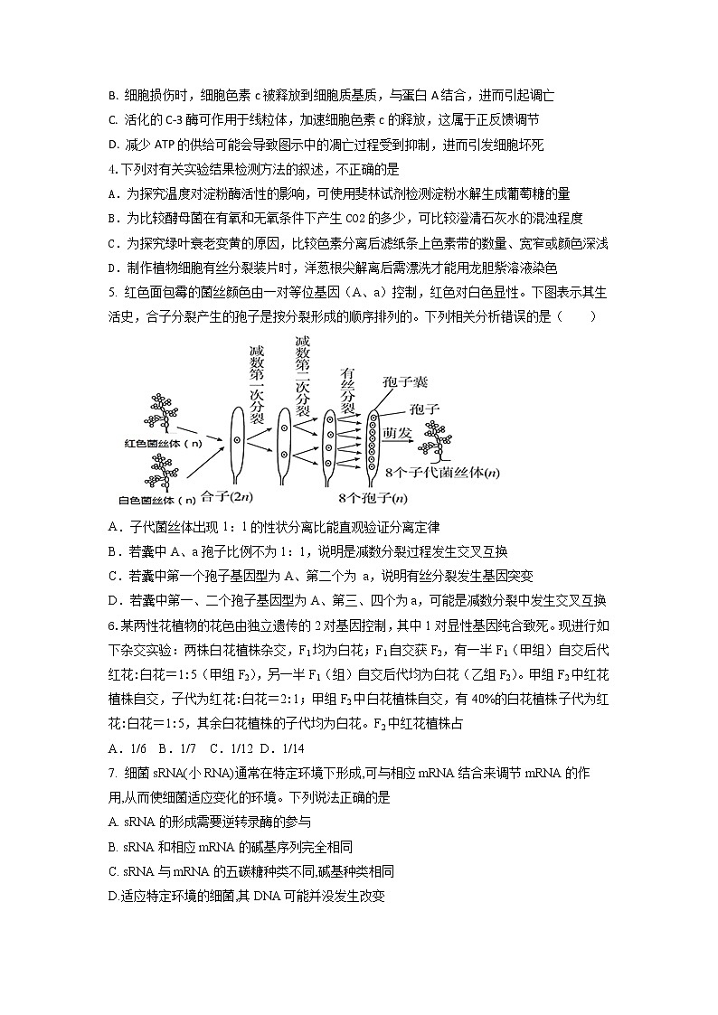十六校二联生物学第2页