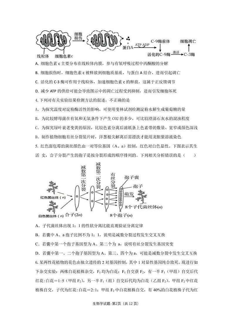 十六校二联生物学第2页