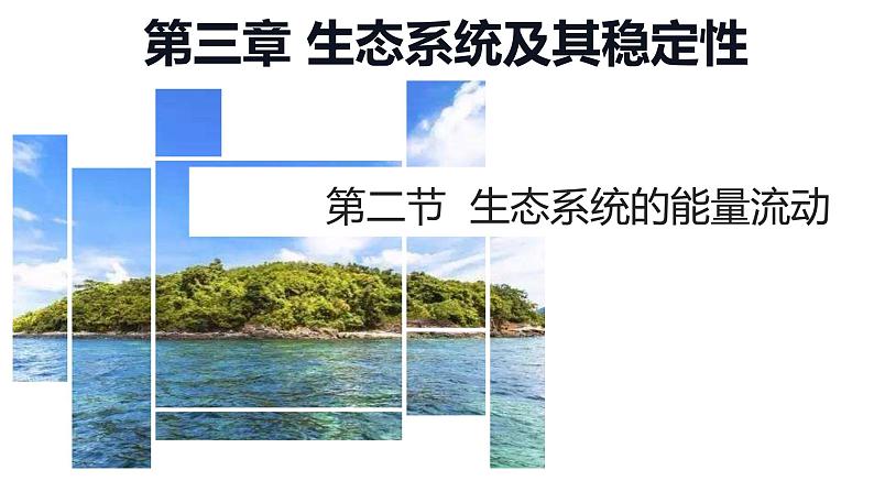 高中生物人教版(2019)选择性必修二3.2生态系统的能量流动 课件01