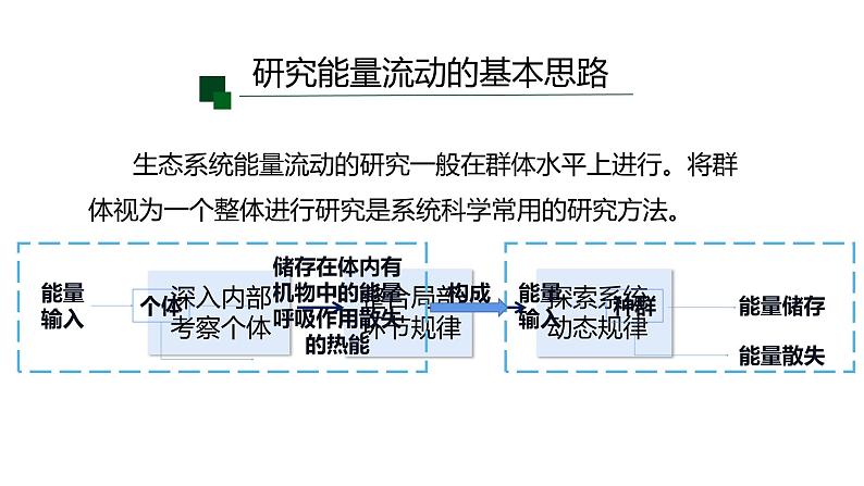 高中生物人教版(2019)选择性必修二3.2生态系统的能量流动 课件04