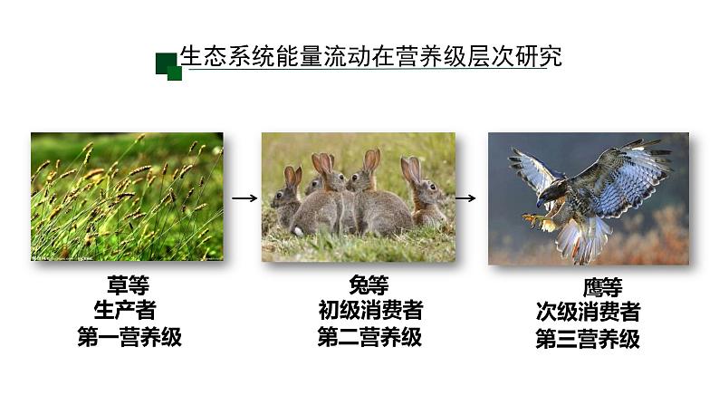 高中生物人教版(2019)选择性必修二3.2生态系统的能量流动 课件06