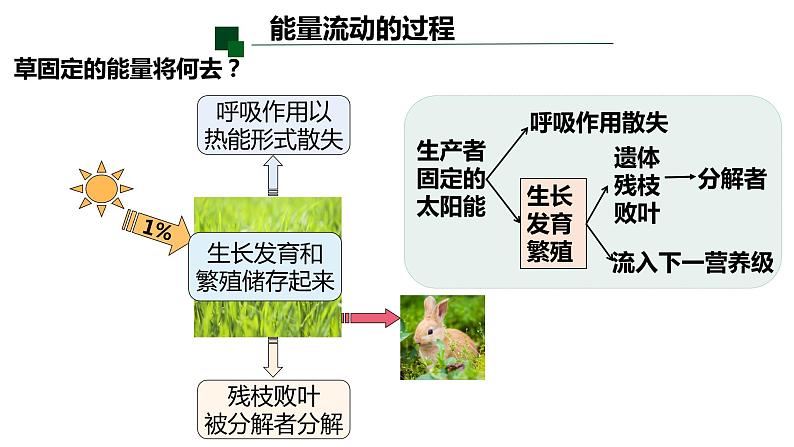 高中生物人教版(2019)选择性必修二3.2生态系统的能量流动 课件07