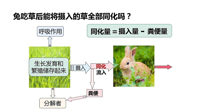 高中生物人教版(2019)选择性必修二3.2生态系统的能量流动 课件08